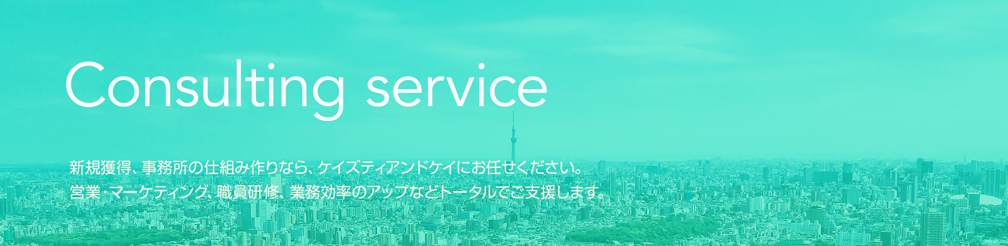 Consulting service 「迅速」かつ「正確」なシステム構築で円滑なイベント運営をサポートいたします。